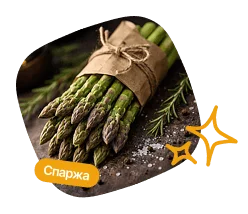 Спаржа